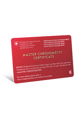 Relógio Seamaster Aqua Terra Worldtimer 41mm